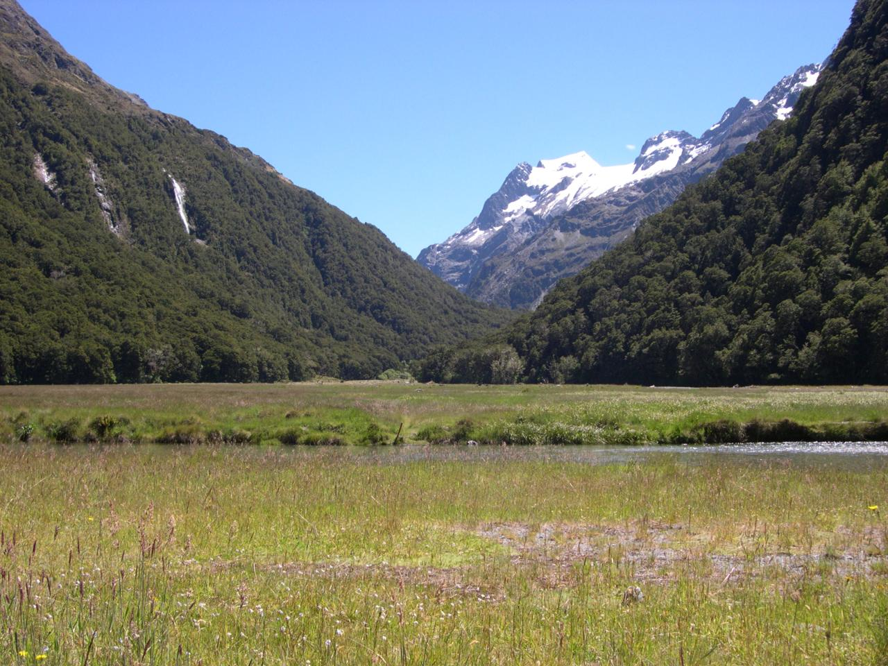 Routeburn Guided Walk Half Day - Photo 1 of 5